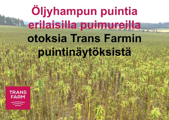 Otoksia Trans Farmin puintinäytöksistä