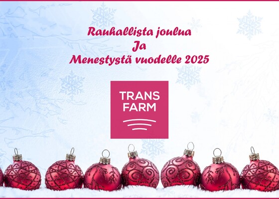 Vuodenvaihde lähestyy, toivotamme rauhallista ja hyvää joulua!